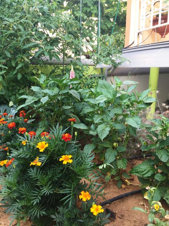 Friendly People'S Guest House ซาดาร์ ภายนอก รูปภาพ